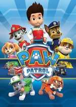 Watch Paw Patrol Alluc