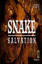 Watch Snake Salvation Alluc