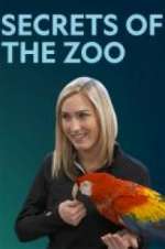 Watch Secrets of the Zoo Alluc
