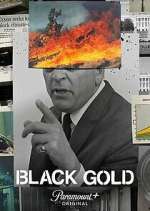 Watch Black Gold Alluc