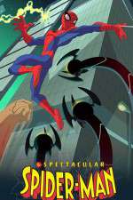 Watch The Spectacular Spider-Man Alluc