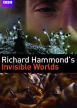 Watch Richard Hammond's Invisible Worlds Alluc
