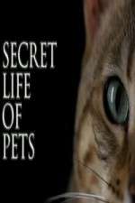 Watch The Secret Life of Pets Alluc