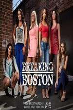 Watch Breaking Boston Alluc
