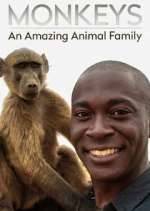 Watch Monkeys: An Amazing Animal Family Alluc