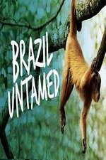 Watch Brazil Untamed Alluc