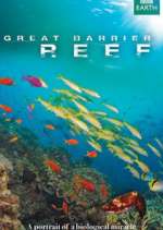 Watch Great Barrier Reef Alluc