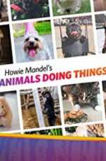 Watch Howie Mandel\'s Animals Doing Things Alluc