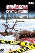 Watch Animal Crime Scene Alluc