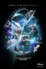 Watch Super/Natural Alluc