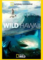 Watch Wild Hawaii Alluc