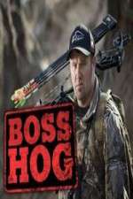 Watch Boss Hog Alluc