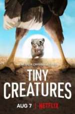Watch Tiny Creatures Alluc