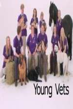Watch Young Vets Alluc