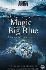 Watch The Magic of the Big Blue Alluc