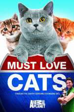 Watch Must Love Cats Alluc