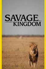 Watch Savage Kingdom Alluc