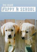 Watch Dog Squad: Puppy School Alluc