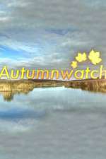 autumnwatch tv poster