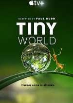 Watch Tiny World Alluc