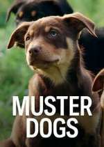 Watch Muster Dogs Alluc
