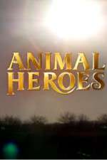 Watch Animal Heroes Alluc