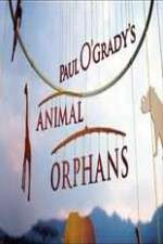 Watch Paul O'Grady's Animal Orphans Alluc