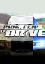Watch Pick, Flip & Drive Alluc