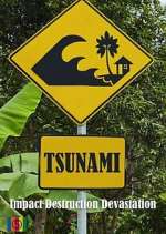 Watch Tsunami Alluc