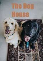 Watch The Dog House Alluc