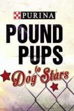 Watch Purina Pound Pups To Dog Stars Alluc