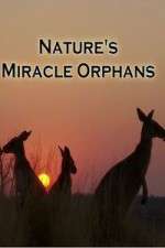 Watch Nature's Miracle Orphans Alluc