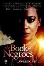 Watch The Book of Negroes Alluc