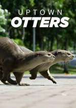 Watch Uptown Otters Alluc