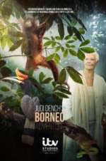 Watch Judi Dench\'s Wild Borneo Adventure Alluc
