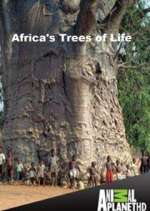 Watch Africa's Trees of Life Alluc