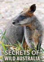 Watch Secrets of Wild Australia Alluc