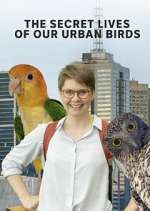 Watch The Secret Lives of Our Urban Birds Alluc