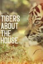 Watch Tigers About the House Alluc