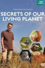 Watch Secrets of Our Living Planet Alluc