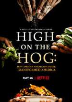 Watch High on the Hog: How African American Cuisine Transformed America Alluc
