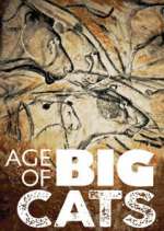 Watch Age of Big Cats Alluc