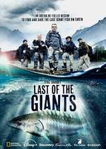 Watch Last of the Giants: Wild Fish Alluc
