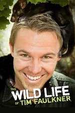 Watch The Wild Life of Tim Faulkner Alluc