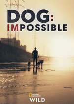 Watch Dog: Impossible Alluc