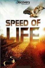 Watch Discovery Channel Speed Of Life Alluc