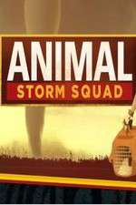 Watch Animal Storm Squad Alluc