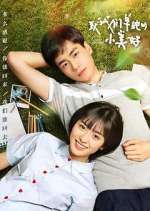 a love so beautiful tv poster