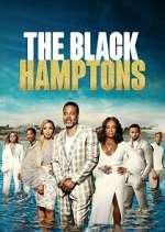 Watch Carl Weber's The Black Hamptons Alluc