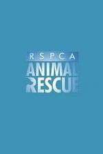 Watch RSPCA Animal Rescue Alluc